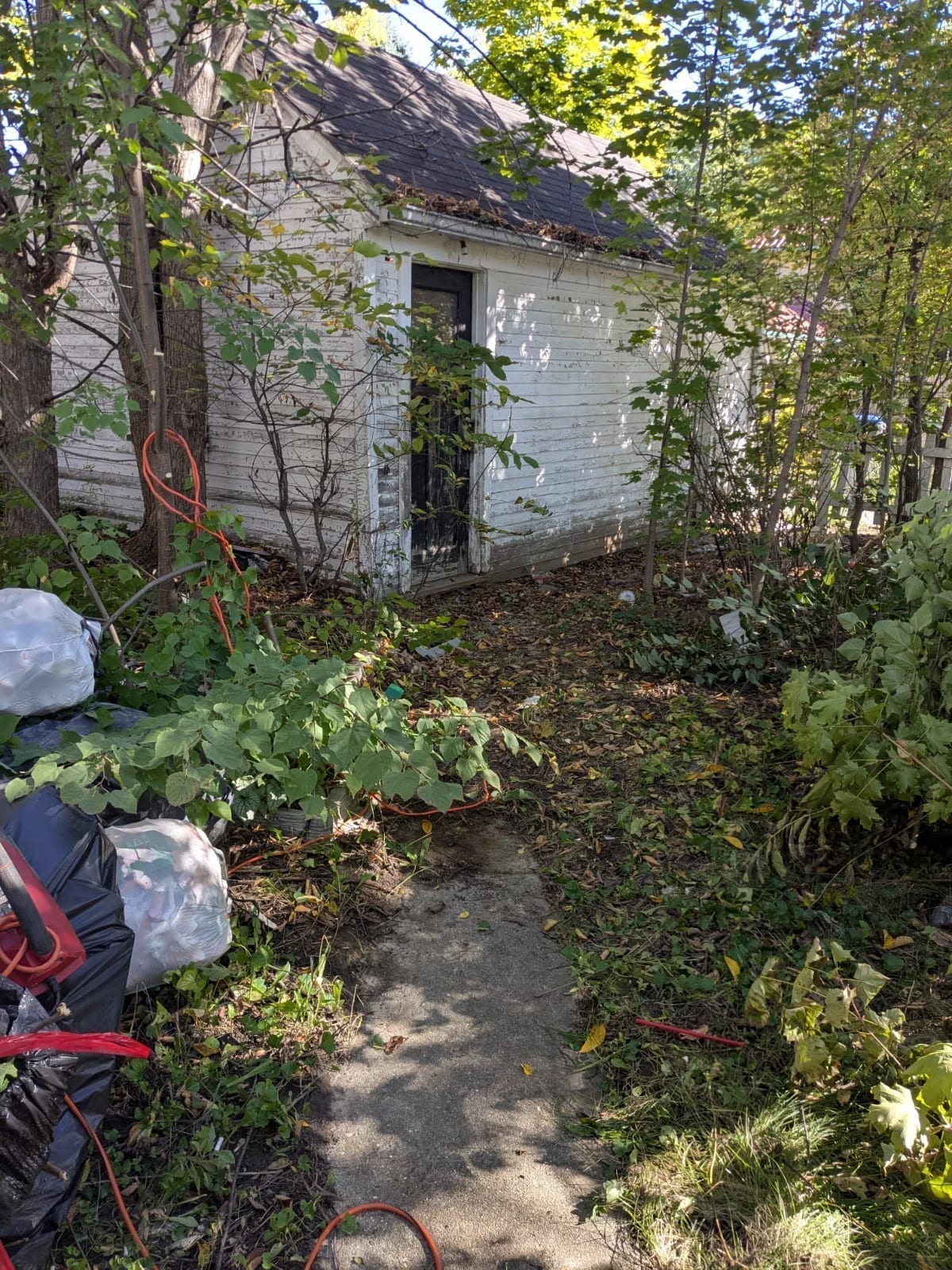 Dedris removal so she can get in the garage of her home